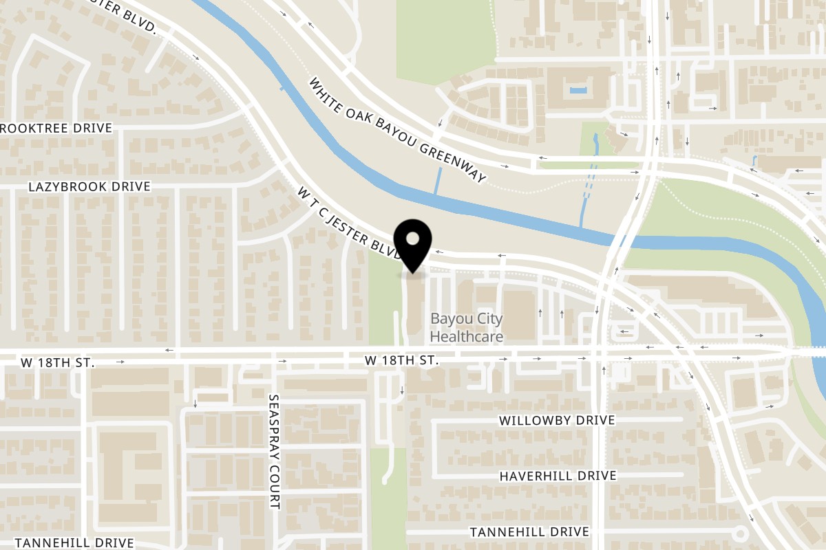 Map showing the location of The Spaghetti Western Italian Cafe & Bar on 1951 W T C Jester Blvd in Houston